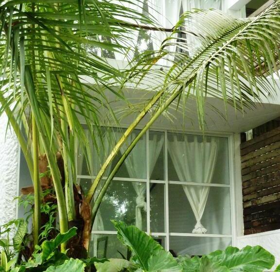 اتاق لوکس خانوادگی, Bliss Boutique Hotel Seychelles