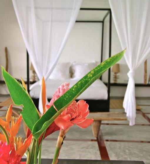 آپارتمان 1 خوابه با چشمانداز دریا, Bliss Boutique Hotel Seychelles