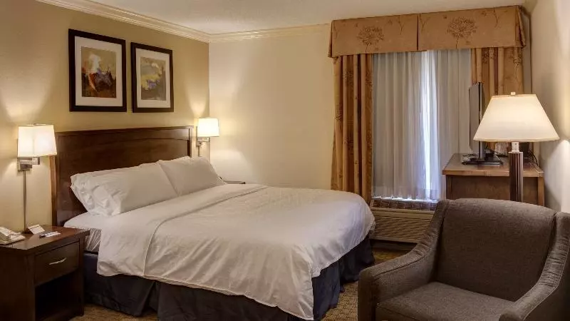 キングサイズベッドのスタンダードルーム, Comfort Inn & Suites