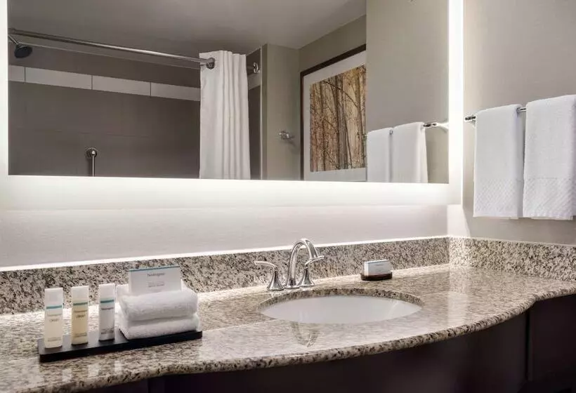 スイート, Embassy Suites By Hilton Atlanta Alpharetta