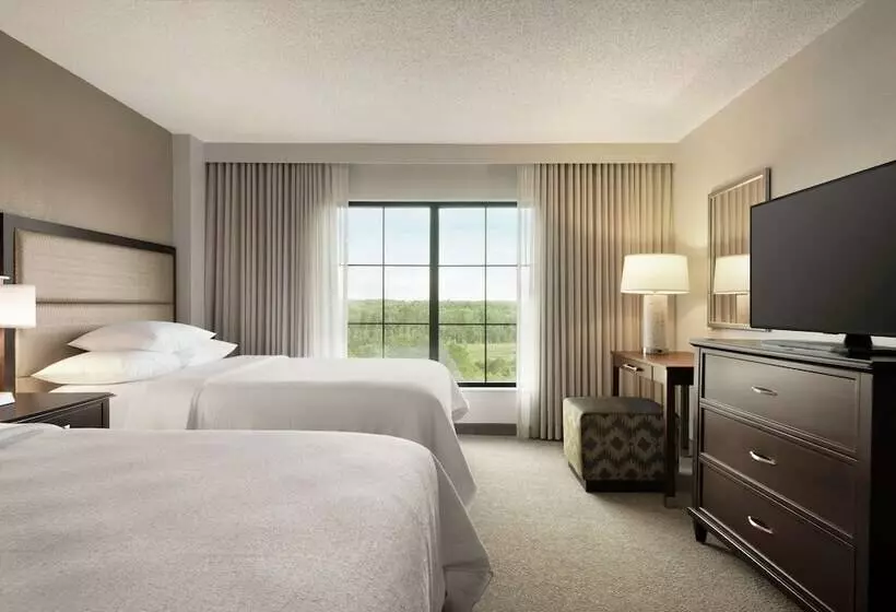 スイート, Embassy Suites By Hilton Atlanta Alpharetta