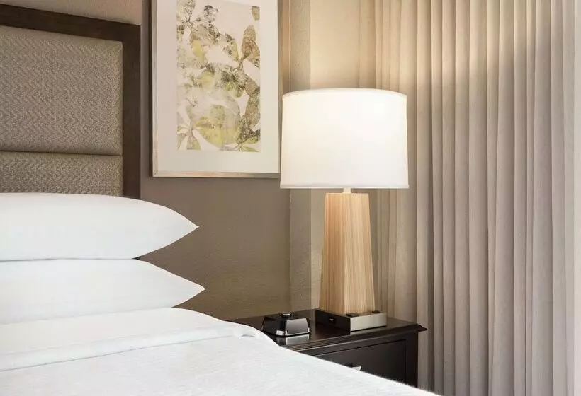 スイート, Embassy Suites By Hilton Atlanta Alpharetta