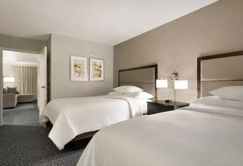 スイート, Embassy Suites By Hilton Atlanta Alpharetta
