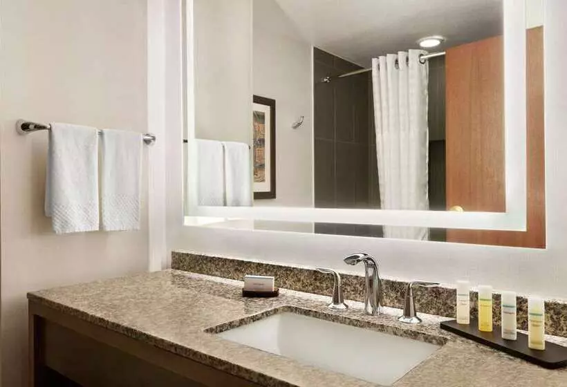 سوییت لوکس, Embassy Suites By Hilton Dallas Dfw Airport North