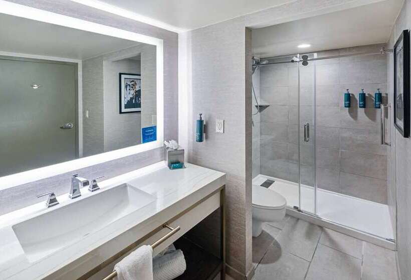 디럭스 스위트, Embassy Suites By Hilton Dallas Dfw Airport North