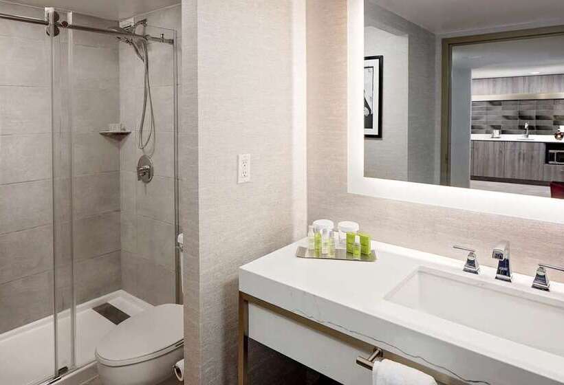 סוויטה דלוקס, Embassy Suites By Hilton Dallas Dfw Airport North