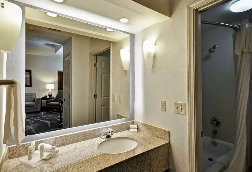 سوئیت پریمیوم, Embassy Suites By Hilton Dallas Dfw Airport North