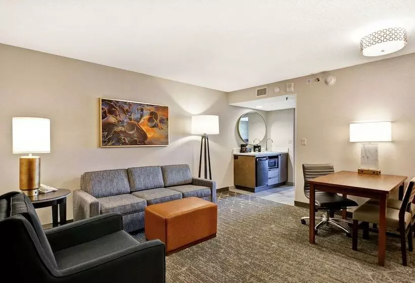 سوییت, Embassy Suites By Hilton Minneapolisairport