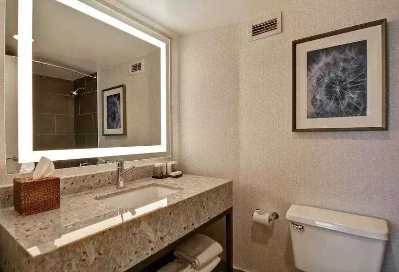 سوییت, Embassy Suites By Hilton Minneapolisairport