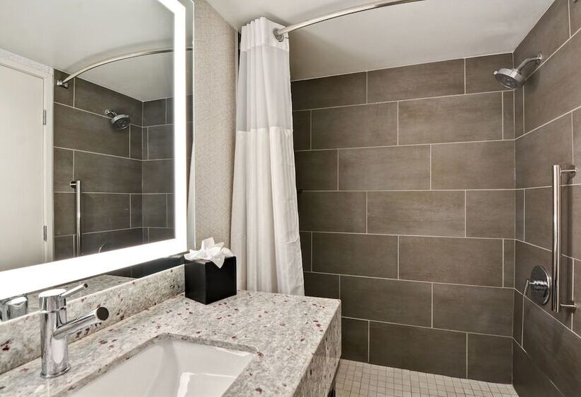 Люкс, Embassy Suites By Hilton Minneapolisairport