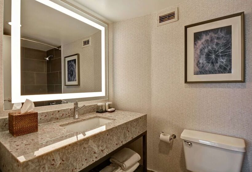 프리미엄 스위트, Embassy Suites By Hilton Minneapolisairport