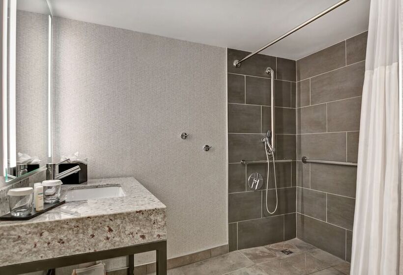 스위트, Embassy Suites By Hilton Minneapolisairport