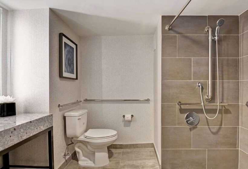 스위트, Embassy Suites By Hilton Minneapolisairport