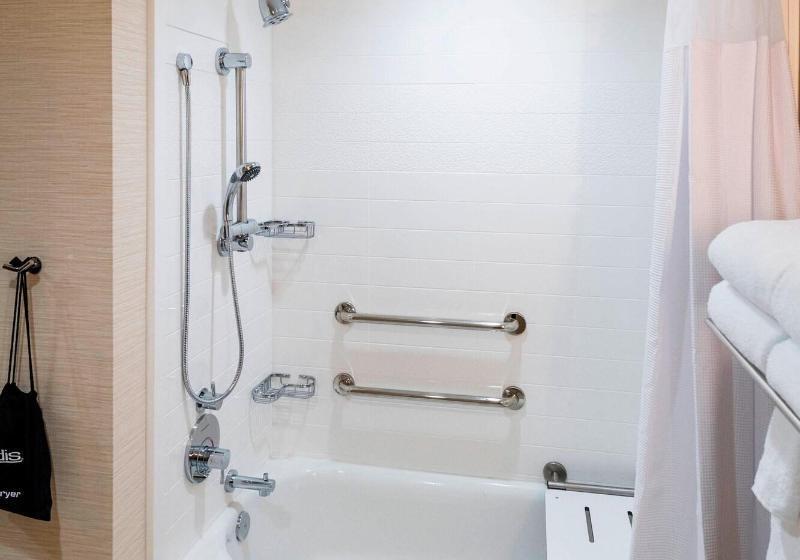 스탠다드 룸, Embassy Suites By Hilton Minneapolisairport