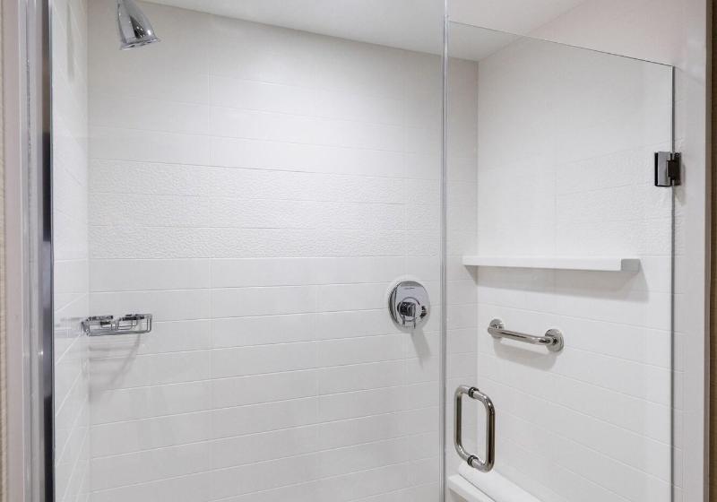 스탠다드 룸, Embassy Suites By Hilton Minneapolisairport