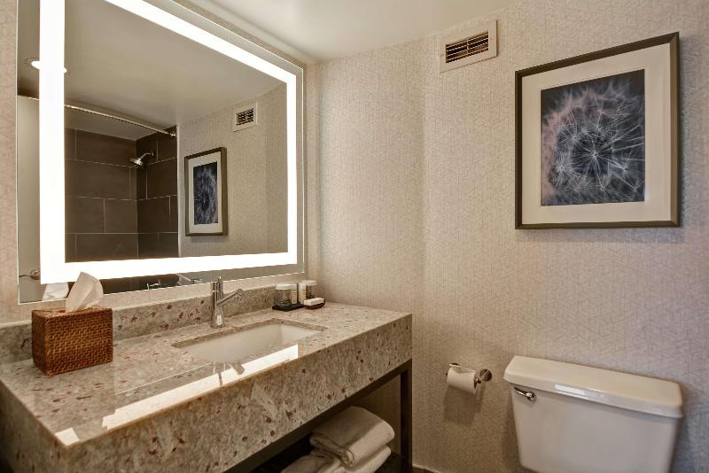 프리미엄 스위트, Embassy Suites By Hilton Minneapolisairport