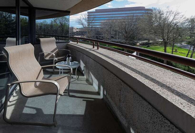 스탠다드 룸, Embassy Suites By Hilton Minneapolisairport