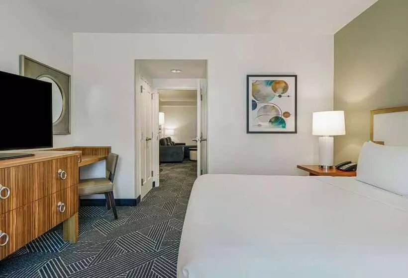 اتاق استاندارد, Embassy Suites By Hilton Minneapolisairport
