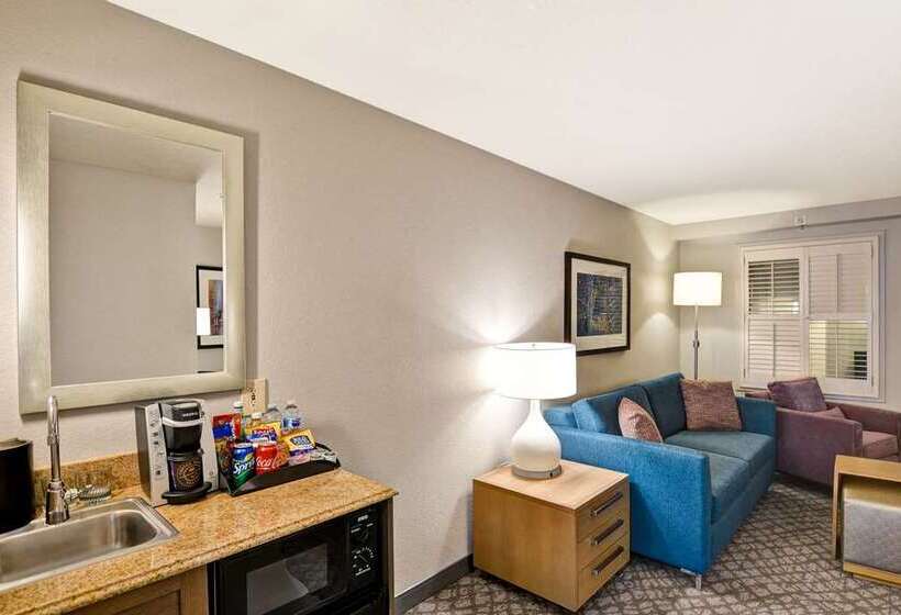 프리미엄 스위트, Embassy Suites By Hilton Minneapolisairport