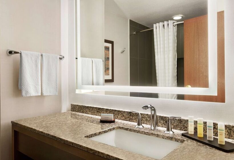 Quarto Estandar Cama Casal, Embassy Suites By Hilton Dallas Dfw Airport North