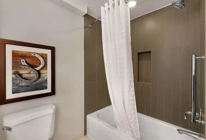 سوئیت برای معلولان, Embassy Suites By Hilton Dallas Dfw Airport North