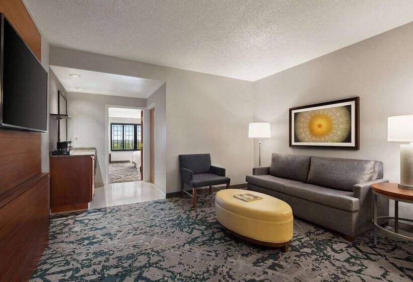 Suíte para Deficientes Físicos, Embassy Suites By Hilton Dallas Dfw Airport North