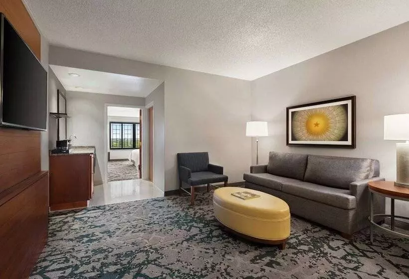سوئیت برای معلولان, Embassy Suites By Hilton Dallas Dfw Airport North