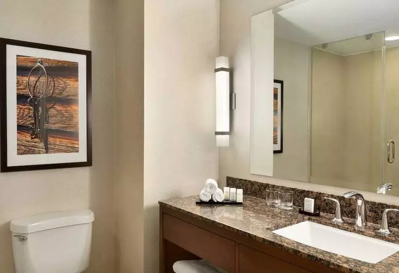 Deluxe Suite King Bed, Embassy Suites By Hilton Dallas Dfw Airport North