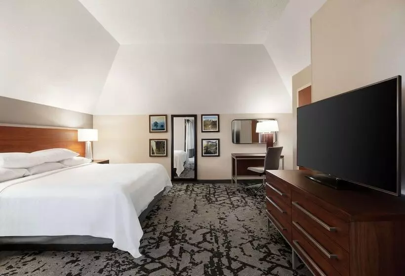 سوئیت 2 خوابه, Embassy Suites By Hilton Dallas Dfw Airport North