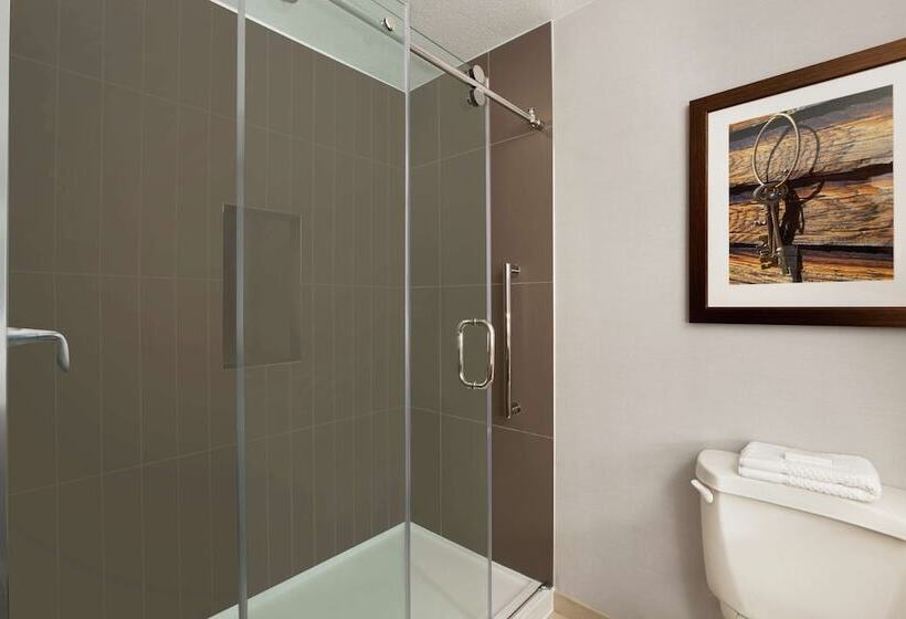 身障者適用スイートルーム, Embassy Suites By Hilton Dallas Dfw Airport North