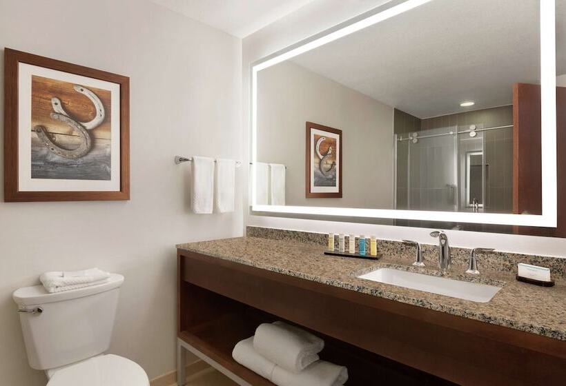 Suíte para Deficientes Físicos, Embassy Suites By Hilton Dallas Dfw Airport North