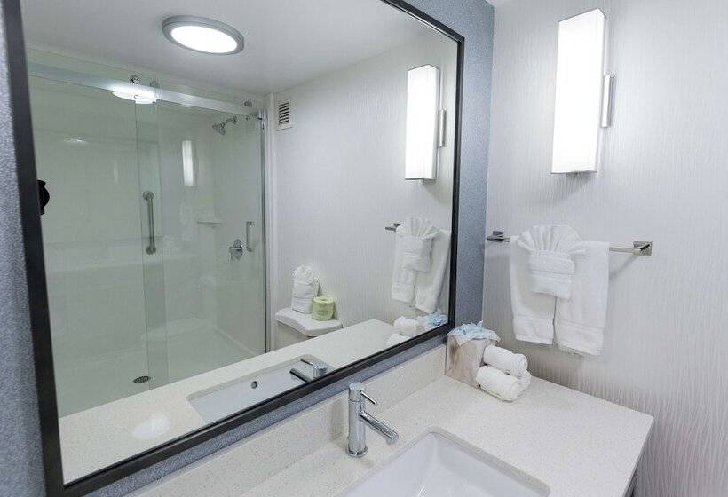 غرفة قياسية, Hilton Garden Inn Atlanta Marietta