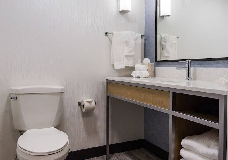 Quarto Estandar, Hilton Garden Inn Atlanta Marietta