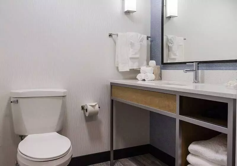 اتاق استاندارد, Hilton Garden Inn Atlanta Marietta