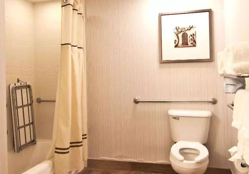 キングサイズベッドのスタンダードルーム, Hilton Garden Inn Columbus/grove City