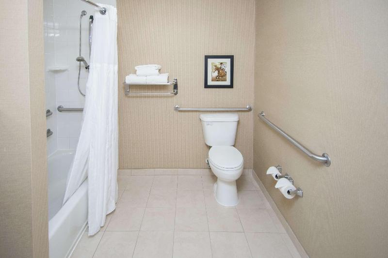 스탠다드 룸 킹사이즈 침대, Hilton Garden Inn Lexington Georgetown