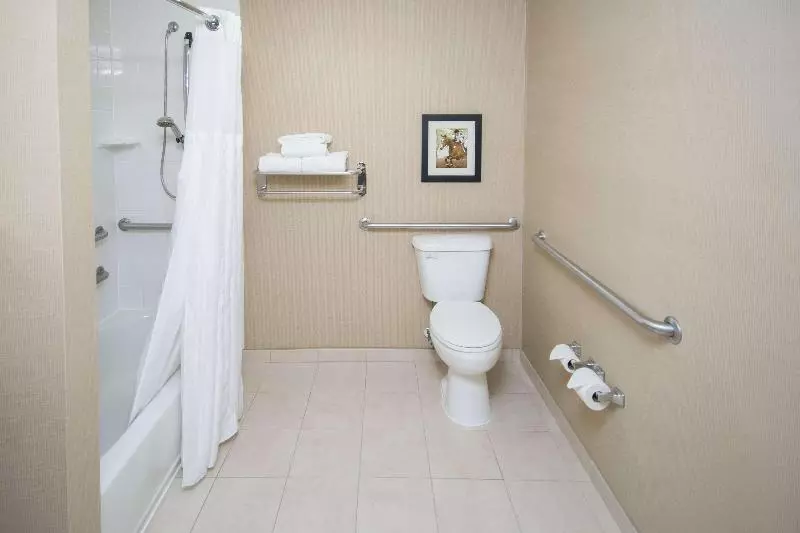 キングサイズベッドのスタンダードルーム, Hilton Garden Inn Lexington Georgetown