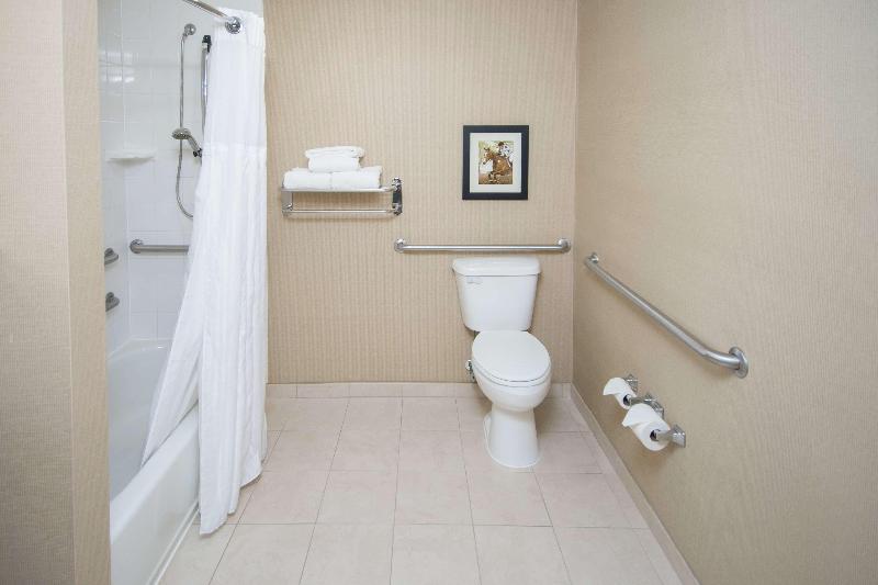 キングサイズベッドのスタンダードルーム, Hilton Garden Inn Lexington Georgetown