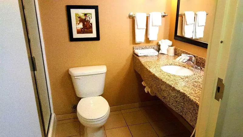 キングサイズベッドのスタンダードルーム, Hilton Garden Inn Lexington Georgetown