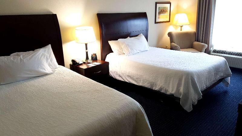 キングサイズベッドのスタンダードルーム, Hilton Garden Inn Lexington Georgetown