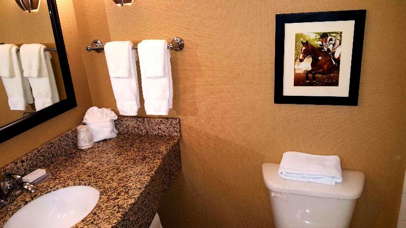 キングサイズベッドのエクゼクティブ, Hilton Garden Inn Lexington Georgetown