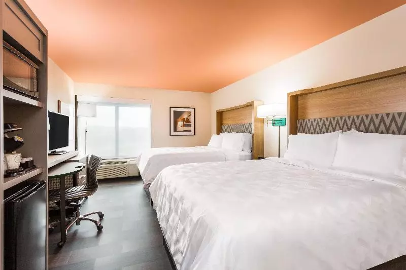 身障者適用スタンダードルーム, Hilton Garden Inn Lexington Georgetown
