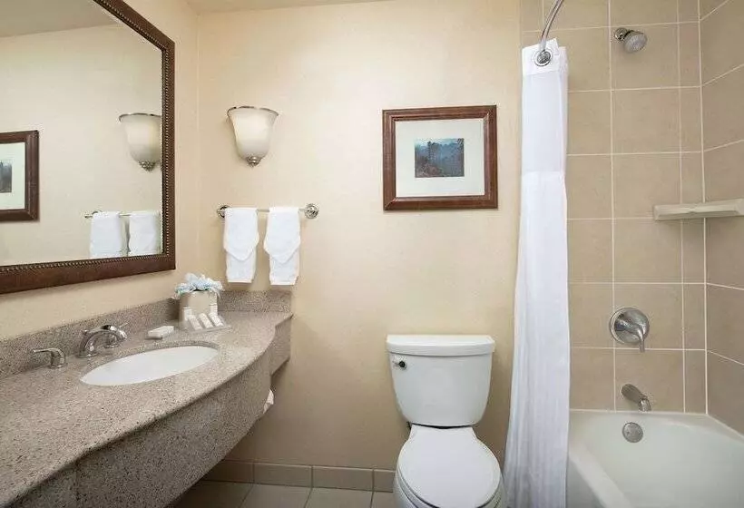 スタンダードルーム, Hilton Garden Inn Yakima Downtown