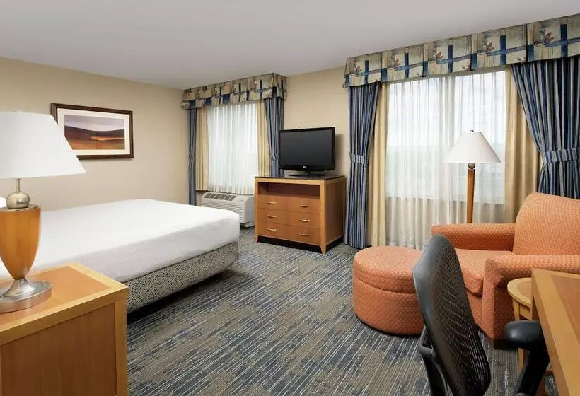 身障者適用スタンダードルーム, Hilton Garden Inn Yakima Downtown