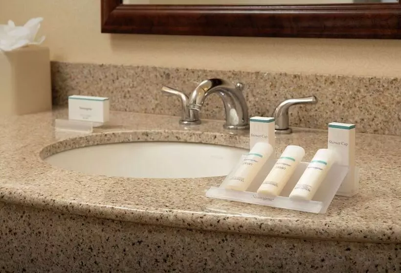 身障者適用スイートルーム, Hilton Garden Inn Yakima Downtown