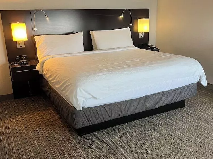 Standard-huone, Holiday Inn Express Hotel & Suites Beatrice, An Ihg