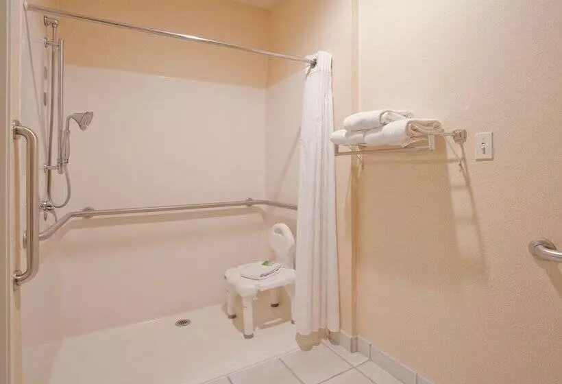 Standard-huone, Holiday Inn Express Hotel & Suites Beatrice, An Ihg
