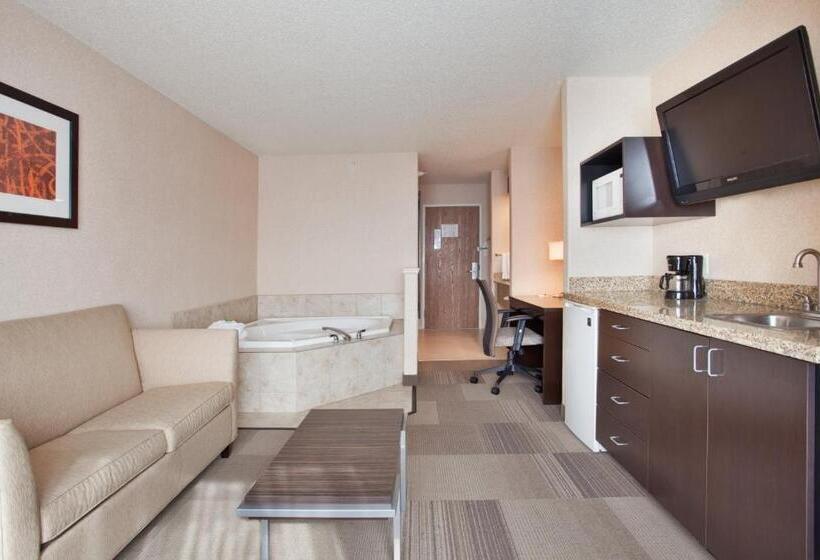 جناح إدارى سرير كينج, Holiday Inn Express Hotel & Suites Beatrice, An Ihg