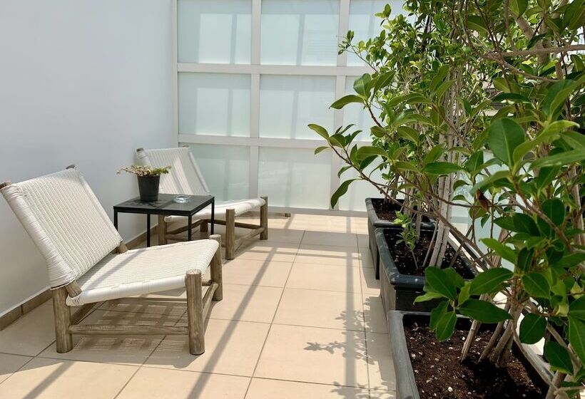 舒适型单人间, Niki Athens