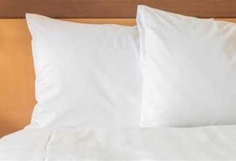 标准工作室, Staybridge Suites Albuquerque North, An Ihg
